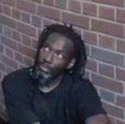 charles rollins III