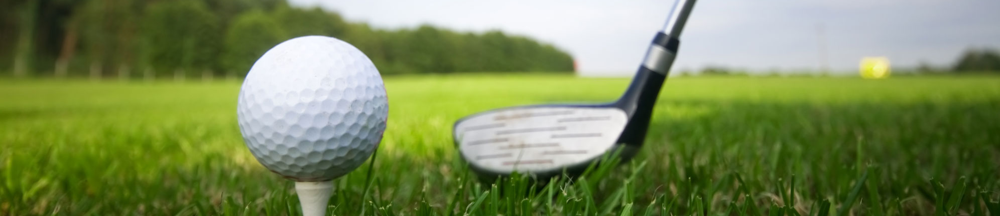 Fsu transportation services